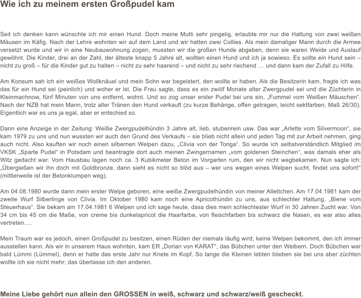Seit ich denken kann wünschte ich mir einen Hund. Doch meine Mutti sehr pingelig, erlaubte mir nur die Haltung von zwei weißen Mäusen im Käfig. Nach der Lehre wohnten wir auf dem Land und wir hatten zwei Collies. Als mein damaliger Mann durch die Armee versetzt wurde und wir in eine Neubauwohnung zogen, mussten wir die großen Hunde abgeben, denn sie waren Weide und Auslauf gewöhnt. Die Kinder, drei an der Zahl, der älteste knapp 5 Jahre alt, wollten einen Hund und ich ja sowieso. Es sollte ein Hund sein – nicht zu groß – für die Kinder gut zu halten – nicht zu sehr haarend – und nicht zu sehr riechend … und dann kam der Zufall zu Hilfe.  Am Konsum sah ich ein weißes Wollknäuel und mein Sohn war begeistert, den wollte er haben. Als die Besitzerin kam, fragte ich was das für ein Hund sei (peinlich) und woher er ist. Die Frau sagte, dass es ein zwölf Monate alter Zwergpudel sei und die Züchterin in Kleinmachnow, fünf Minuten von uns entfernt, wohnt. Und so zog unser erster Pudel bei uns ein, „Fummel vom Weißen Mäuschen“. Nach der NZB hat mein Mann, trotz aller Tränen den Hund verkauft (zu kurze Behänge, offen getragen, leicht sektfarben, Maß 26/30). Eigentlich war es uns ja egal, aber er entschied so.   Dann eine Anzeige in der Zeitung: Weiße Zwergpudelhündin 3 Jahre alt, lieb, stubenrein usw. Das war „Arlette vom Silvermoon“, sie kam 1979 zu uns und nun wussten wir auch den Grund des Verkaufs – sie blieb nicht allein und jeden Tag mit zur Arbeit nehmen, ging auch nicht. Also kauften wir noch einen silbernen Welpen dazu, „Clivia von der Tonga“. So wurde ich selbstverständlich Mitglied im VKSK „Sparte Pudel“ in Potsdam und beantragte dort auch meinen Zwingernamen „vom goldenen Steinchen“, was damals eher als Witz gedacht war. Vom Hausbau lagen noch ca. 3 Kubikmeter Beton im Vorgarten rum, den wir nicht wegbekamen. Nun sagte ich: „Übergießen wir ihn doch mit Goldbronze, dann sieht es nicht so blöd aus – wer uns wegen eines Welpen sucht, findet uns sofort!“ (mittlerweile ist der Betonklumpen weg).  Am 04.08.1980 wurde dann mein erster Welpe geboren, eine weiße Zwergpudelhündin von meiner Allettchen. Am 17.04.1981 kam der zweite Wurf Silberlinge von Clivia. Im Oktober 1980 kam noch eine Apricothündin zu uns, aus schlechter Haltung, „Biene vom Steuerhaus“. Sie bekam am 17.04.1981 6 Welpen und ich sage heute, dass dies mein schlechtester Wurf in 30 Jahren Zucht war. Von 34 cm bis 45 cm die Maße, von creme bis dunkelapricot die Haarfarbe, von fleischfarben bis schwarz die Nasen, es war also alles vertreten….   Mein Traum war es jedoch, einen Großpudel zu besitzen, einen Rüden der niemals läufig wird, keine Welpen bekommt, den ich immer ausstellen kann. Als wir in unserem Haus wohnten, kam ER „Dorian von KARAT“, das Bübchen unter den Weibern. Doch Bübchen war bald Lümmi (Lümmel), denn er hatte das erste Jahr nur Knete im Kopf. So lange die Kleinen lebten blieben sie bei uns aber züchten wollte ich sie nicht mehr; das überlasse ich den anderen.    Meine Liebe gehört nun allein den GROSSEN in weiß, schwarz und schwarz/weiß gescheckt. Wie ich zu meinem ersten Großpudel kam