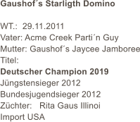 Gaushof´s Starligth Domino  WT.:  29.11.2011  Vater: Acme Creek Parti´n Guy Mutter: Gaushof´s Jaycee Jamboree Titel:  Deutscher Champion 2019 Jüngstensieger 2012 Bundesjugendsieger 2012  Züchter:   Rita Gaus Illinoi  Import USA