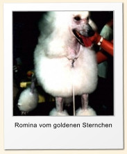 Romina vom goldenen Sternchen