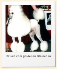 Return vom goldenen Steinchen