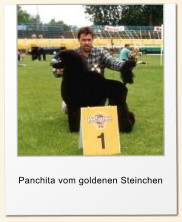 Panchita vom goldenen Steinchen