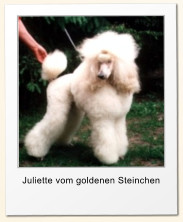 Juliette vom goldenen Steinchen