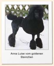 Anna Luise vom goldenen Steinchen