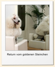 Return vom goldenen Steinchen