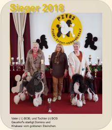 Vater ( l.) BOB, und Tochter (r) BOS Gaushof's starligt Domino und  Khaleesi vom goldenen Steinchen. Sieger 2018